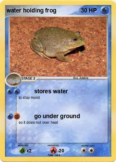 Pokemon water holding frog