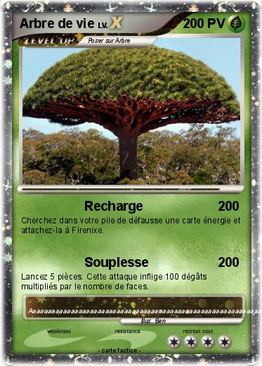 Pokemon Arbre de vie