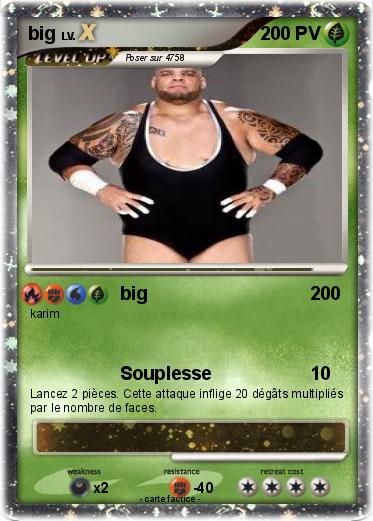 Pokemon big
