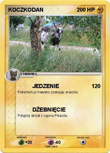 Pokemon KOCZKODAN