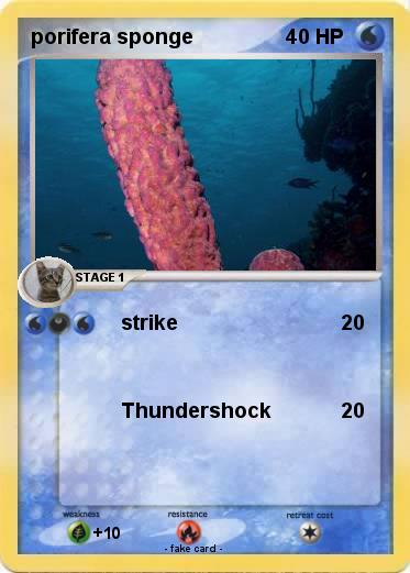 Pokemon porifera sponge