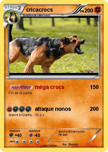 Pokemon cricacrocs