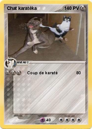 Pokemon Chat karatéka