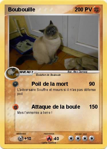 Pokemon Boubouille