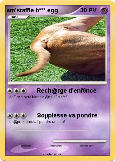 Pokemon am'staffie b*** egg