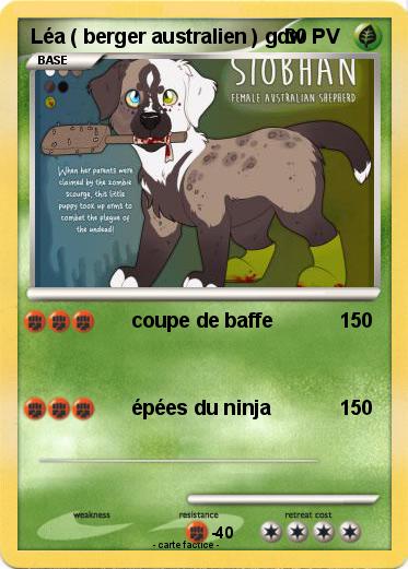 Pokemon Léa ( berger australien ) gdw