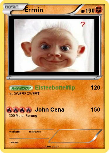 Pokemon Ermin