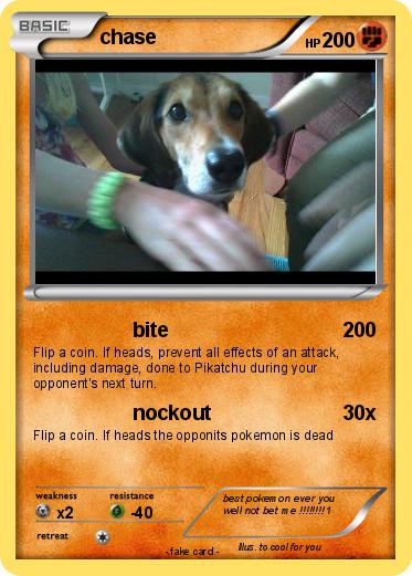 Pokemon chase