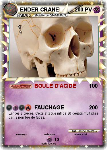 Pokemon ENDER CRANE