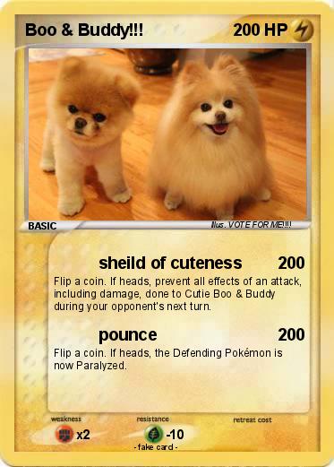 Pokemon Boo & Buddy!!!