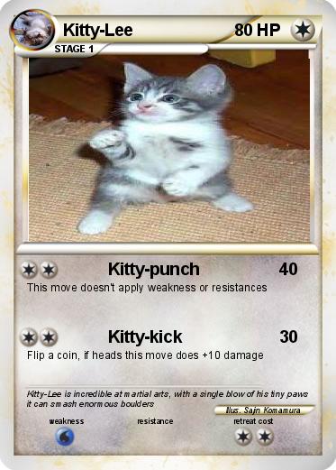 Pokemon Kitty-Lee