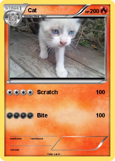 Pokemon Cat