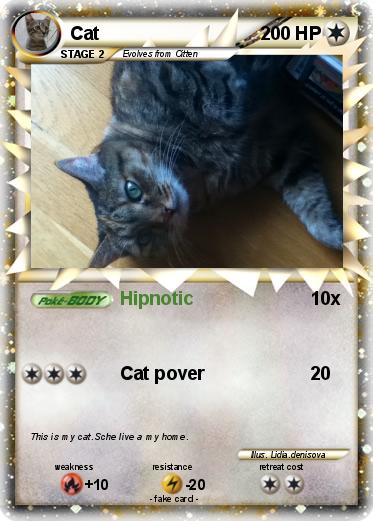 Pokemon Cat