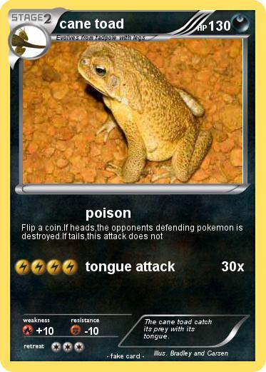 Pokemon cane toad