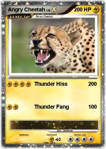 Pokemon Angry Cheetah