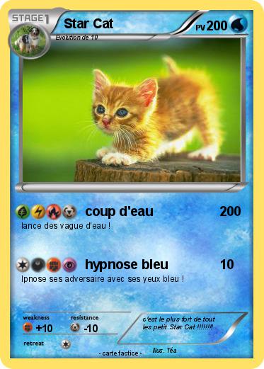 Pokemon Star Cat