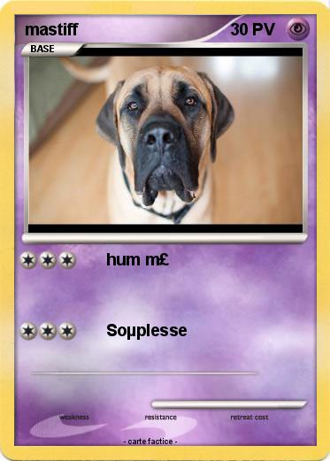 Pokemon mastiff