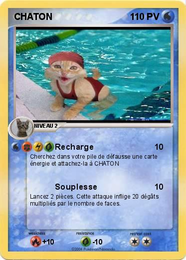 Pokemon CHATON 