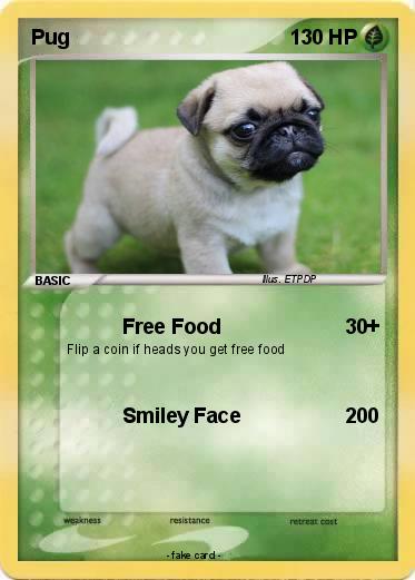 Pokemon Pug