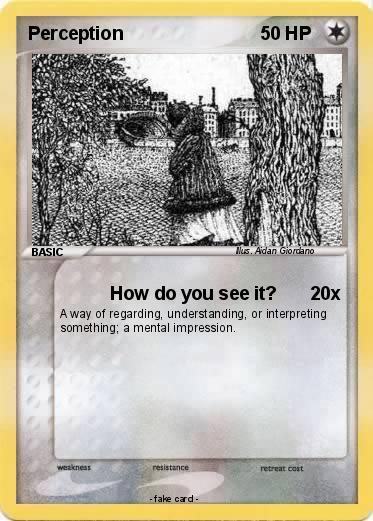 Pokemon Perception