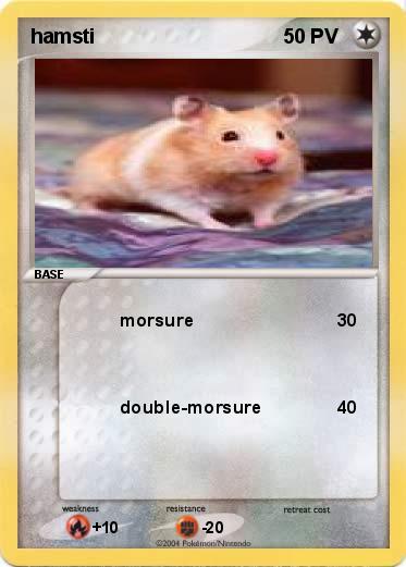 Pokemon hamsti