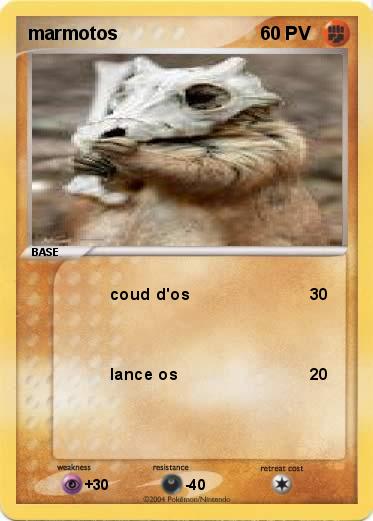 Pokemon marmotos