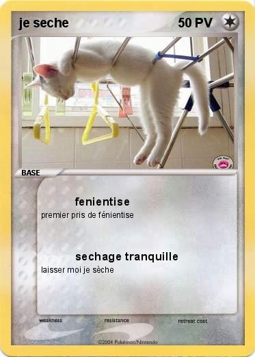 Pokemon je seche