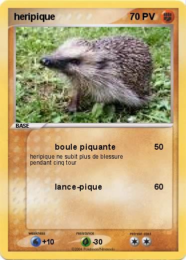 Pokemon heripique