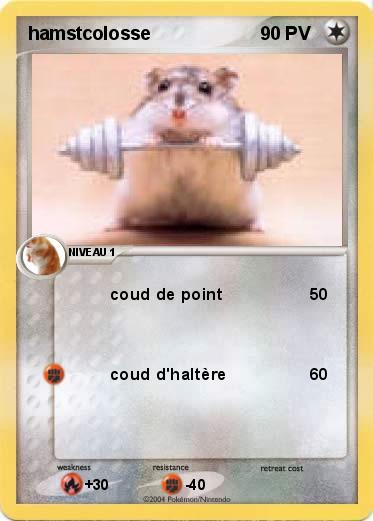 Pokemon hamstcolosse