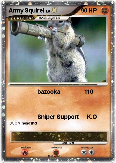 Pokemon Army Squirel
