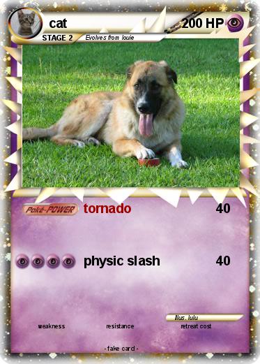 Pokemon cat