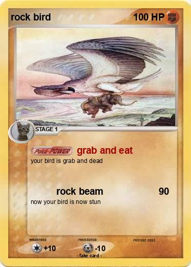 Pokemon rock bird