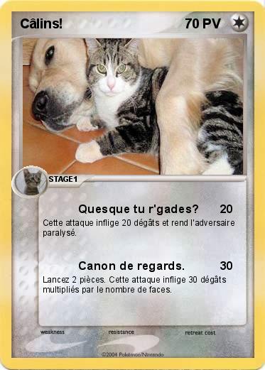Pokemon Câlins!