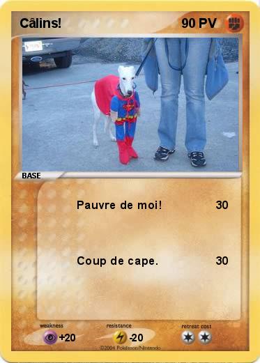 Pokemon Câlins!