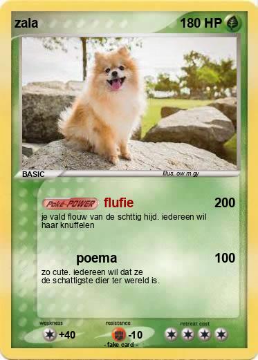 Pokemon zala