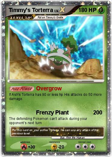 Pokemon Timmy's Torterra