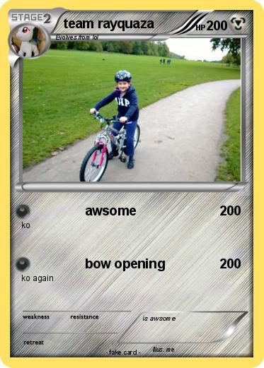 Pokemon team rayquaza