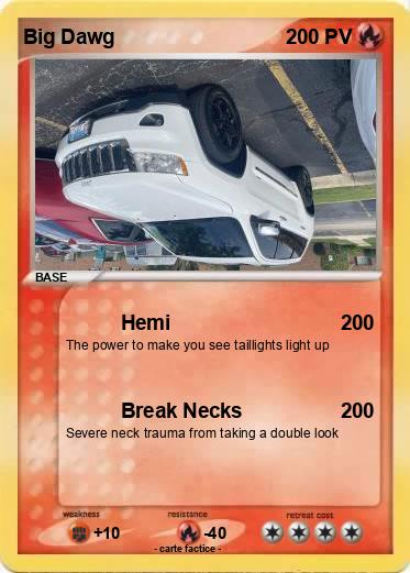 Pokemon Big Dawg