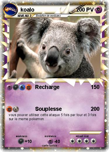 Pokemon koalo