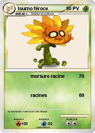 Pokemon tourno féroce