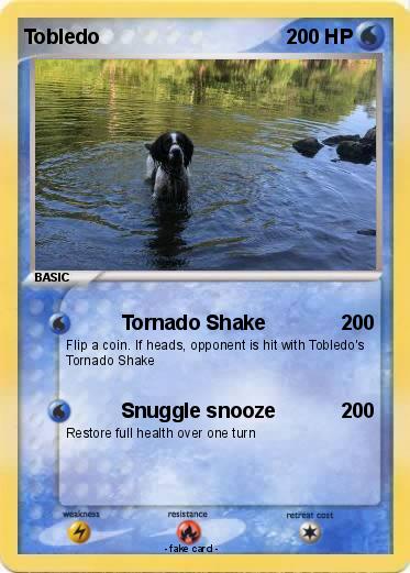 Pokemon Tobledo