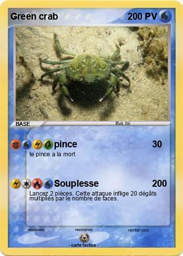 Pokemon Green crab