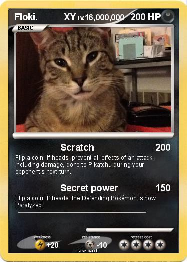 Pokemon Floki.          XY