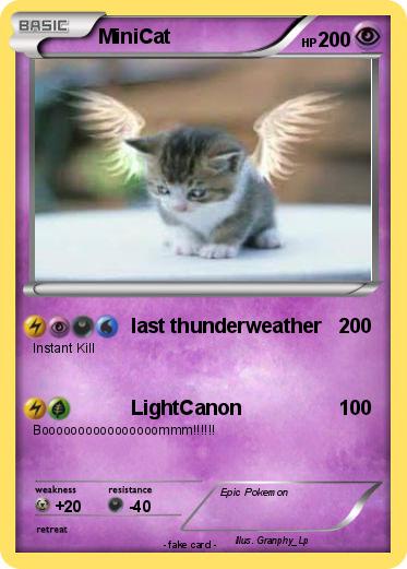 Pokemon MiniCat