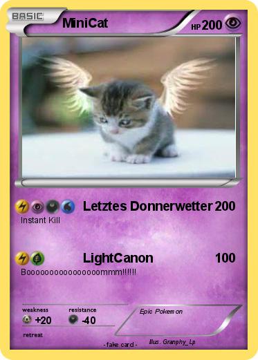 Pokemon MiniCat
