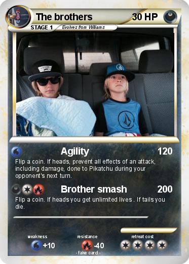 Pokemon The brothers