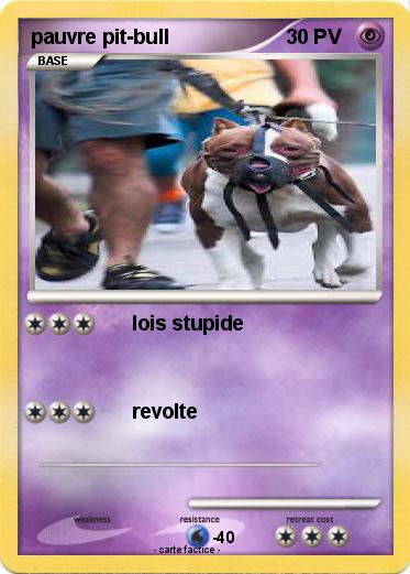 Pokemon pauvre pit-bull