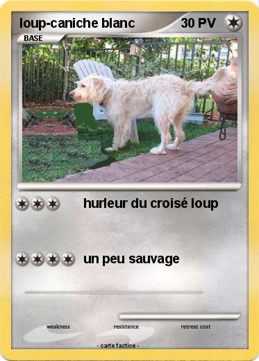 Pokemon loup-caniche blanc