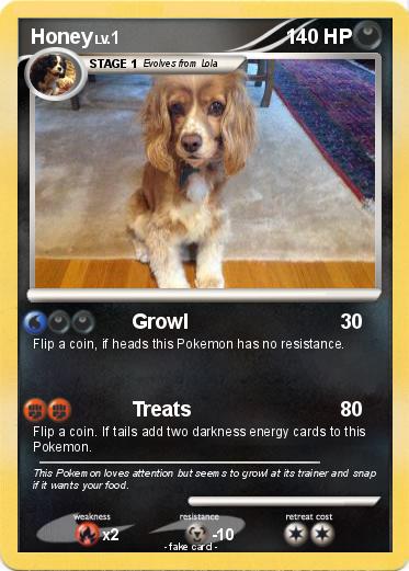 Pokemon Honey