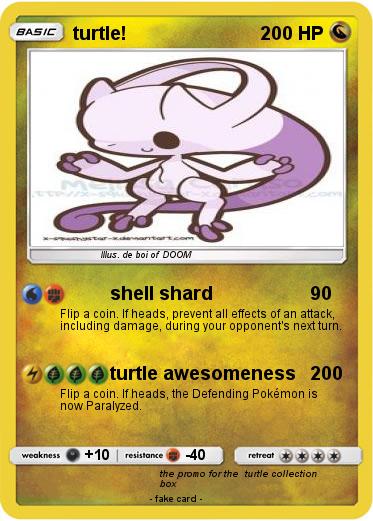 Pokemon turtle!